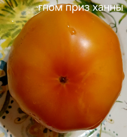 ГНОМ ПРИЗ ХАННЫ