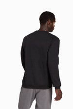 Кофта adidas Entrada 22 Sweat Top