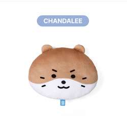 Подушка SEVENTEEN - MINITEEN Face Cushion