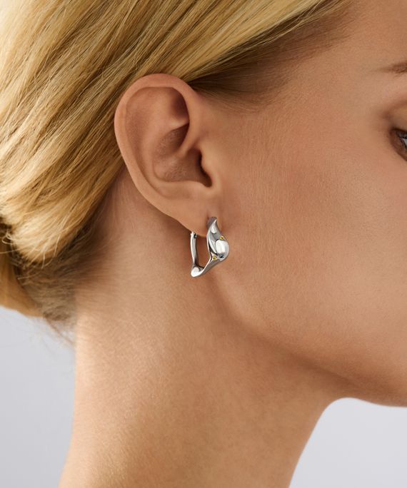 Серьги конго Цефеида