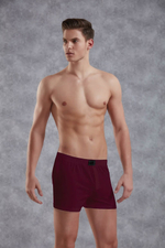 Хлопковые трусы-боксеры свободного покроя Doreanse Cotton Basic (Размер: XXL) (Цвет: фиолетовый)