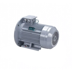 Электродвигатель ESQ PR 160 M4 GST-Б1-S12-IE2 18,5/1500 IM2001