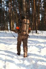 Сумка - рюкзак ELEMENT 50л Алова