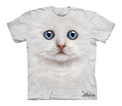 Ivory Kitten Face