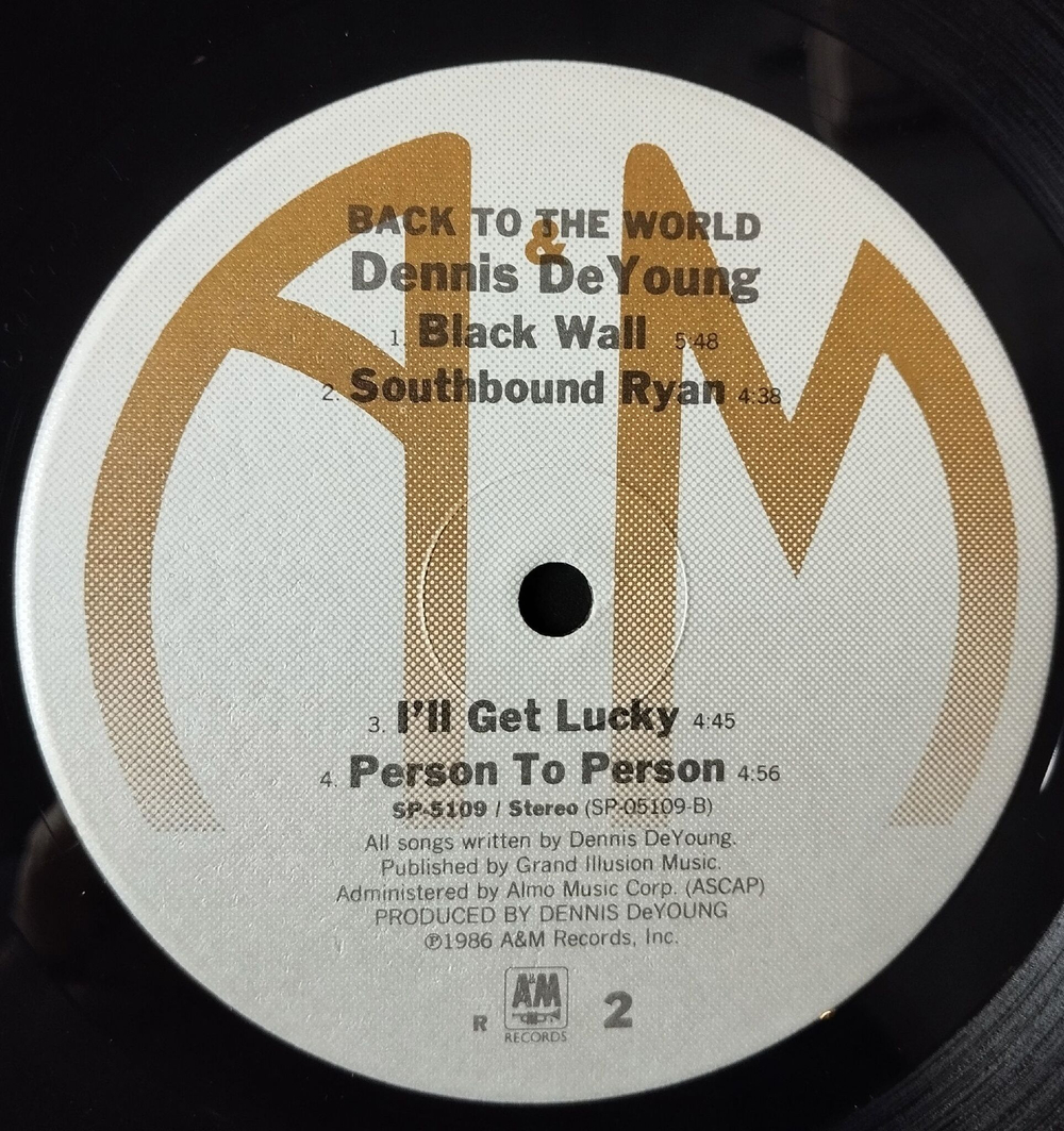 Винтажная виниловая пластинка LP Dennis De Young Back To The World (USA 1986)