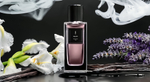 Yves Saint Laurent Muse