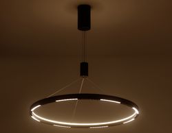 Ambrella Подвесной светодиодный светильник LineTech FL5856