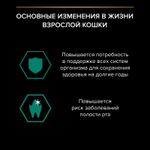 Влажный корм PRO PLAN Maintenance для взрослых кошек, с индейкой в соусе, 85 г