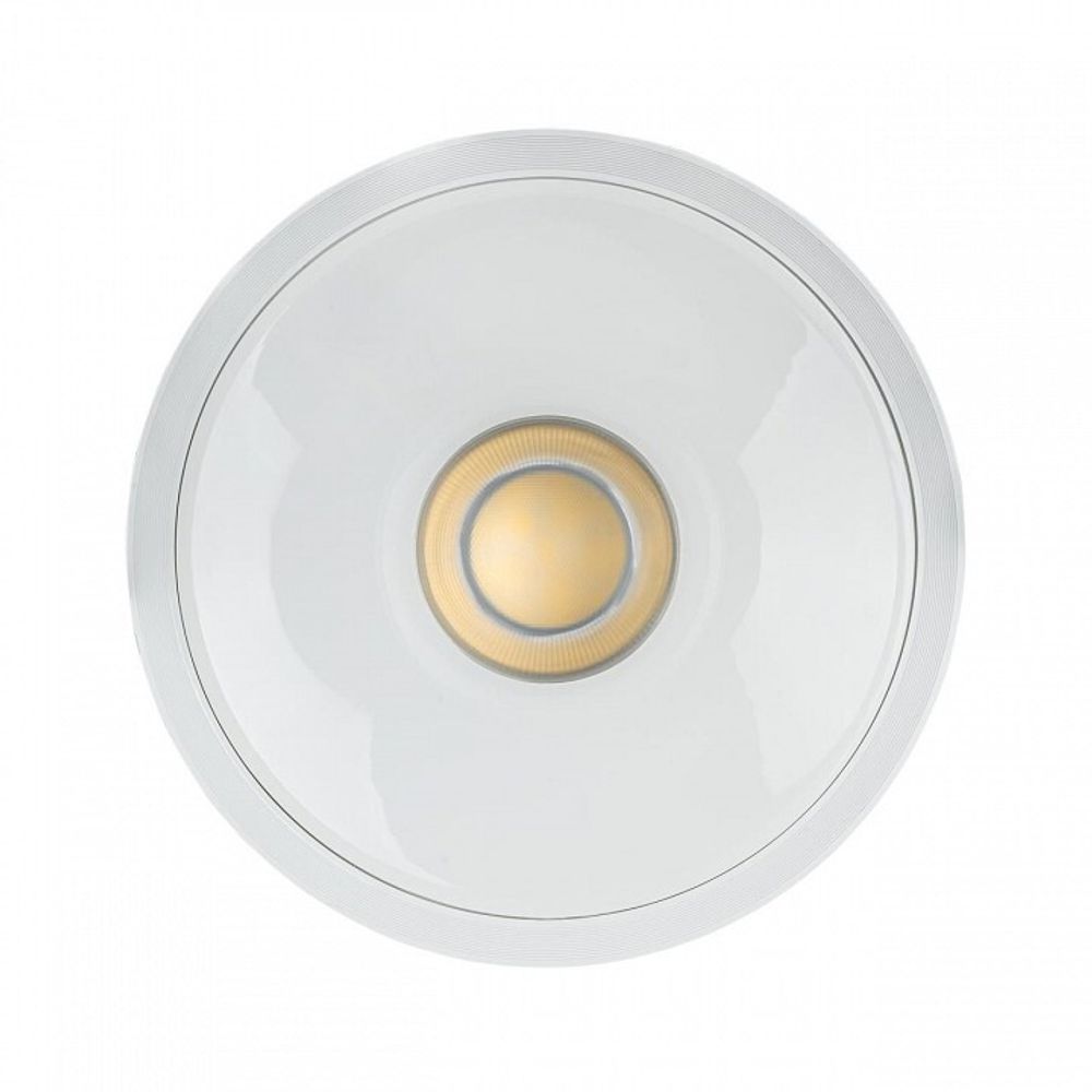 Накладной светильник Citilux Rover CL743150N