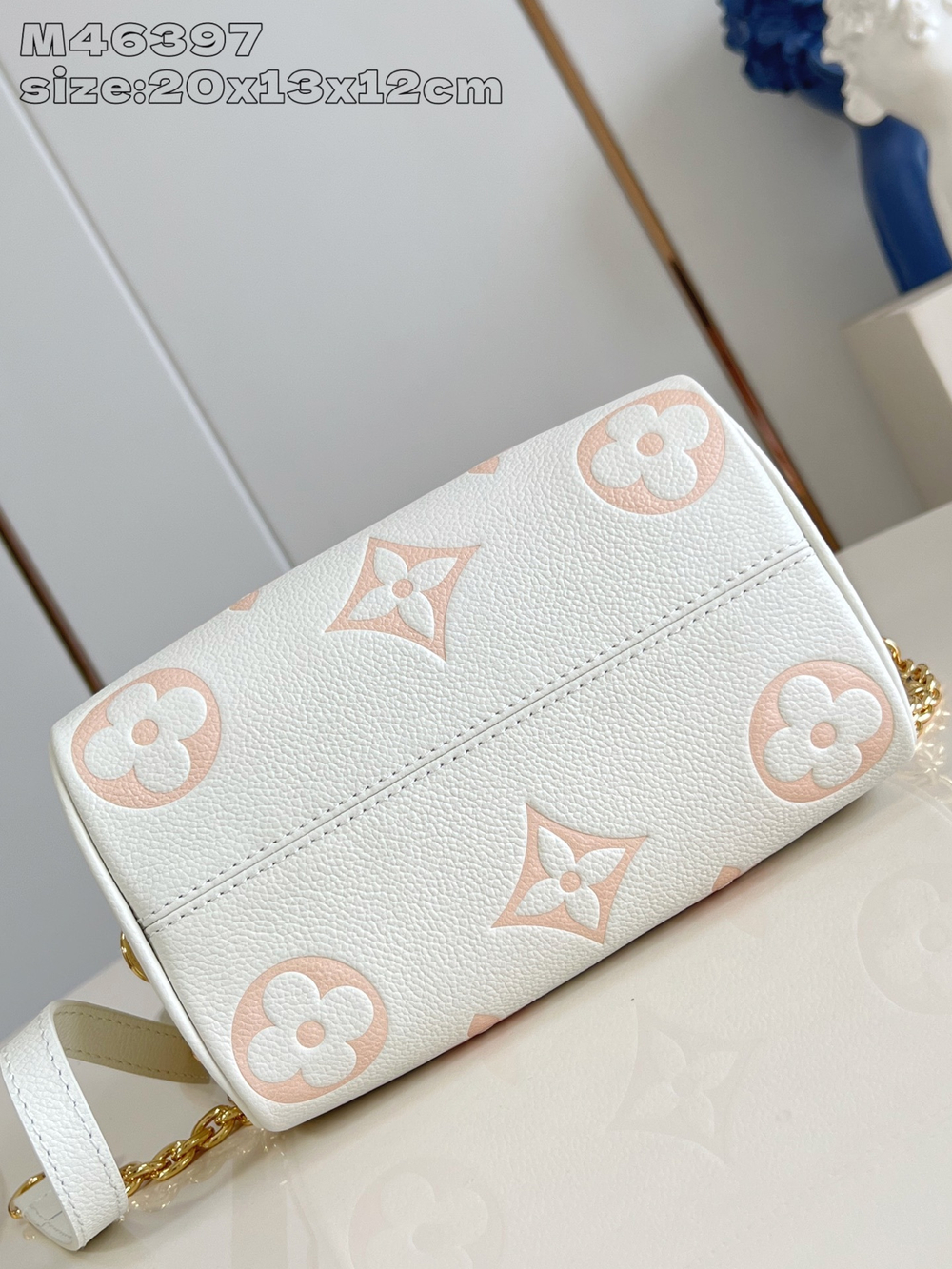 Louis Vuitton Speedy 20