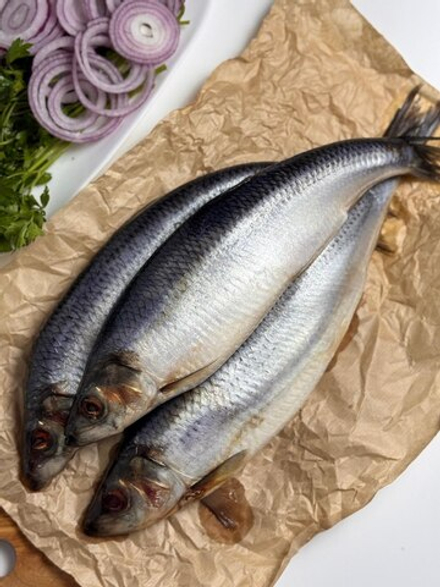 Сельдь с/с 350+ 1/5кг ТНС