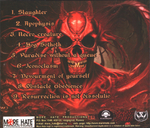 Vanstorbing Insolobridishn / Fucked Up All Over His Head (CD)