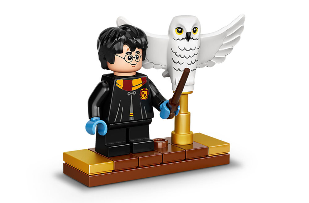 Конструктор LEGO Harry Potter 75979 Букля