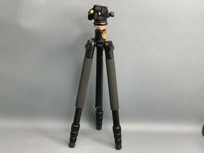 QZSD-01A Zhuangshi Daiqing