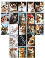 Набор наклеек А7 "Котики" 21шт. 89070 (Открытая планета)