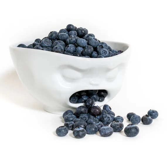 Чаша Tassen Barfing 1 л