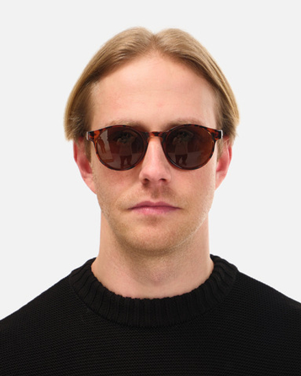 Очки Anteater Доктор Леопард/Коричневый