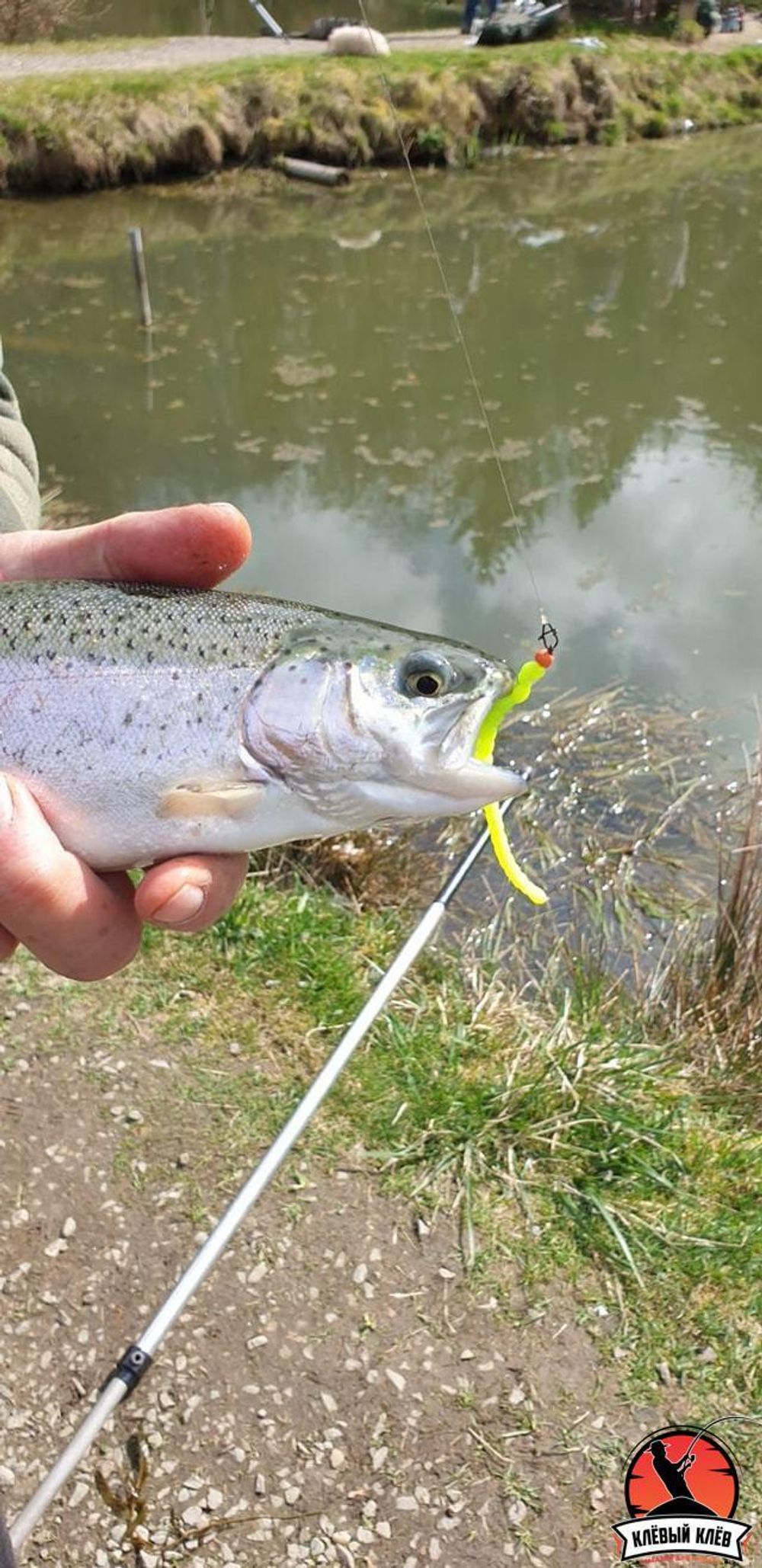 Силиконовая приманка ZOMBIE Flex #26