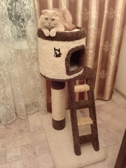 Дом для котят Н-6