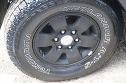 Галерея Раптор