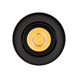 Светильник SP-FOCUS-R86-10W Day4000 (BK, 24 deg, 230V) (Arlight, IP54 Металл, 5 лет) 054810