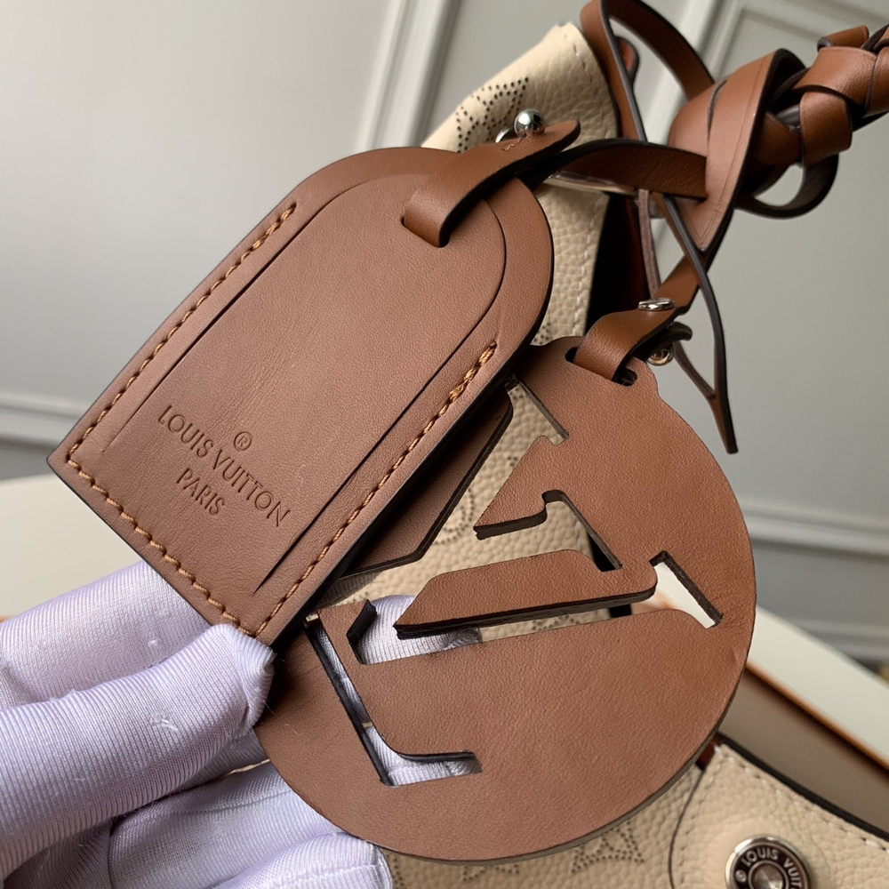 Louis Vuitton Carmel Hobo Bag