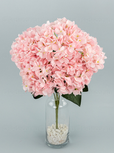 Букет гортензия Садовая