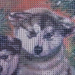 Алмазная мозаика на подрамнике с полным заполнением «МИР ЯРКИХ КРАСОК», щенки хаски, 30*40см