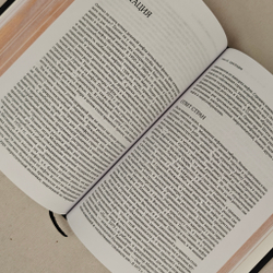 Добыча. Всемирная история борьбы за нефть, деньги и власть