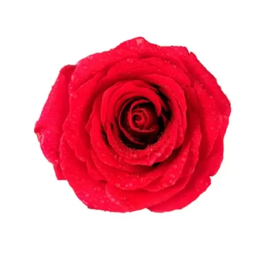 Цифровое панно ID Wall ROSE