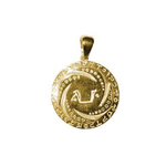 Амулет Талисман Денежный Щит серебро+позолота ЮРВ-26-з