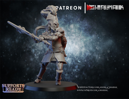 Grand Alliance Order Lumineth Realm-lords High Elves Воитель эльфов №2 миниатюра для dnd, днд, pathfinder, фентези, Настольная игра, НРИ, Варгейм, РПГ