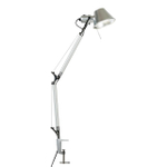 Настольная лампа Favourite Legend 1870-1T