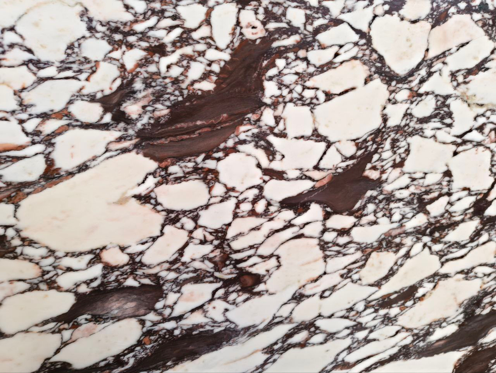 Каллаката Виола