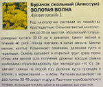 Алиссум Золотая волна скальный 0,1 г СМЦ-233