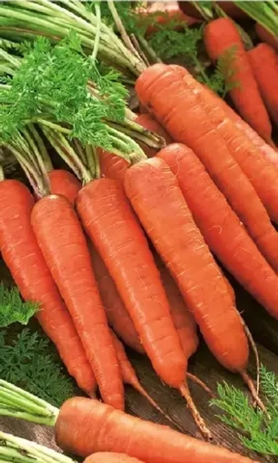 Семена Морковь Лосиноостровская 13 (УД) Е/П