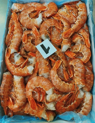 Лангустины без головы