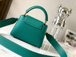 Louis Vuitton Capucines Mini