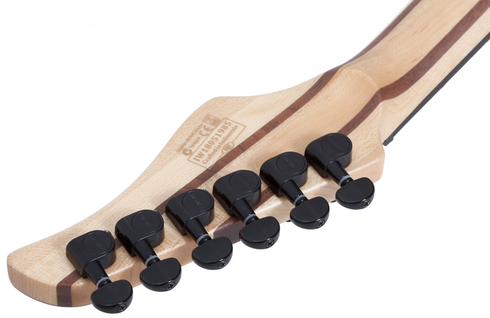 Schecter REAPER-6 CHARCOAL BURST