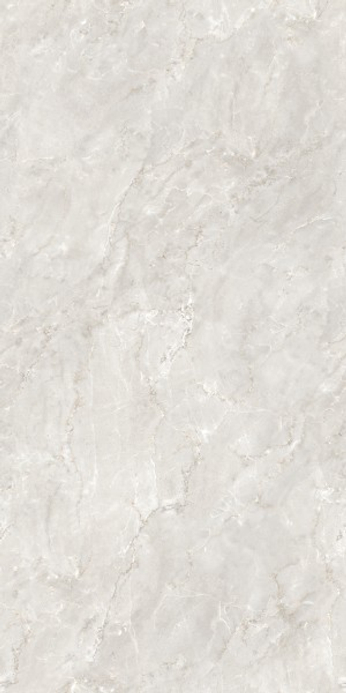 DELROY DOVE CZ-RT02-B