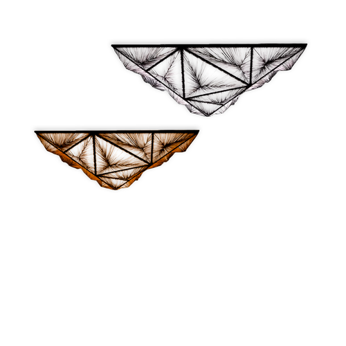 Потолочный дизайнерский светильник Zooid by Aqua Creations Studio