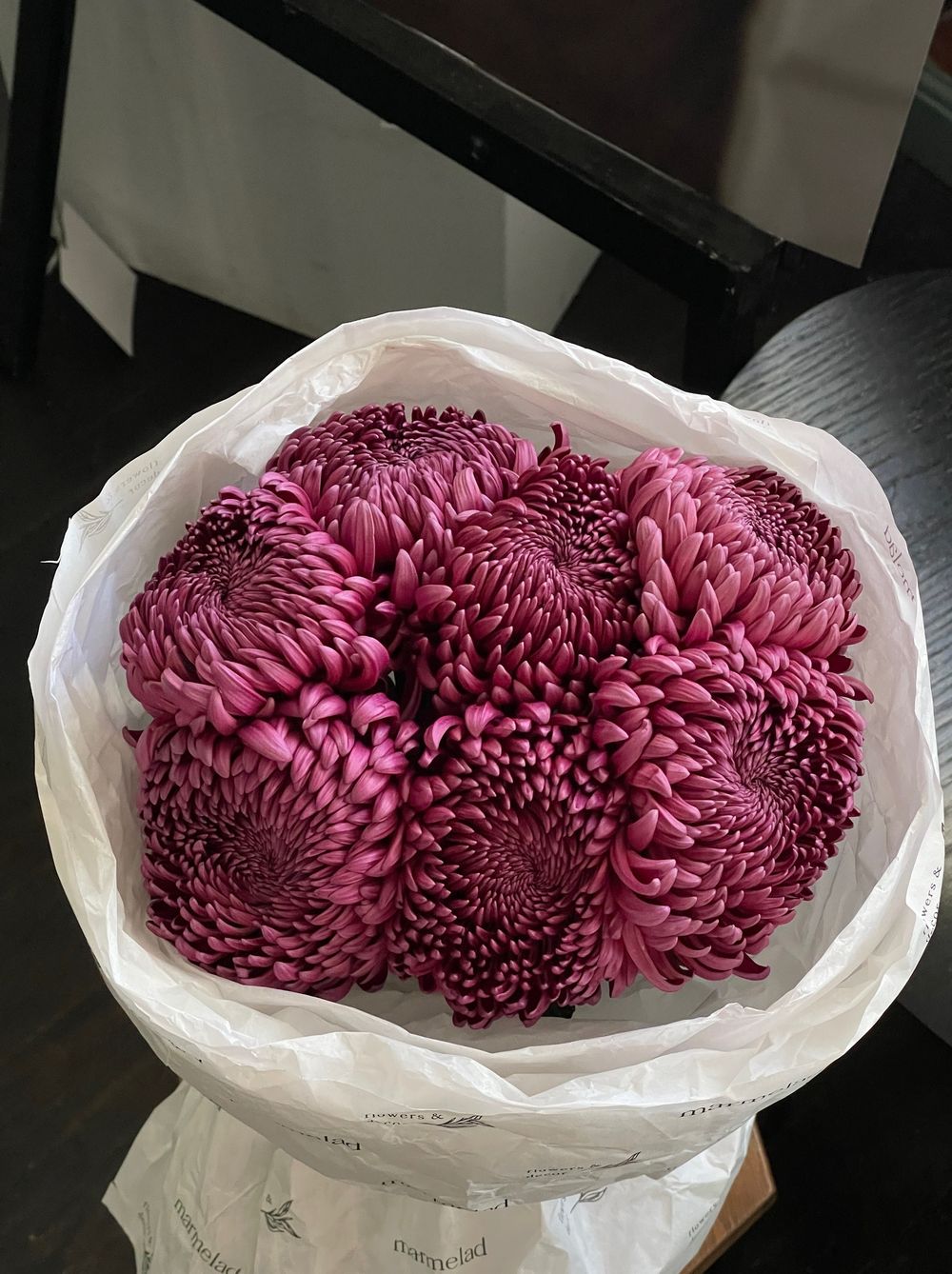 Моно из одноголовой хризантемы сливового оттенка 7шт