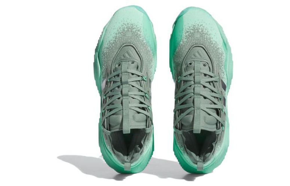 Кроссовки Adidas Trae Young 3.0