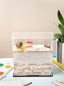 Муравьиная ферма "ДРЕВЕСНАЯ" декор + корм (170*170*65мм)