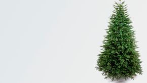 Искусственная ель Королевская