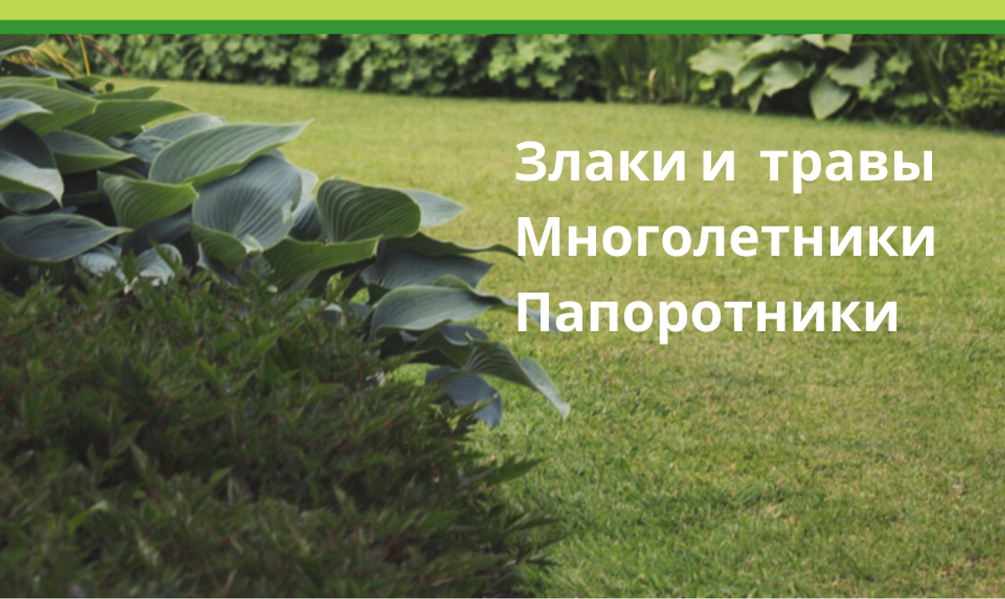 НОВИНКИ