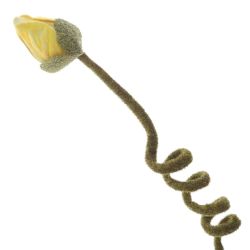 GAEM Цветок искусственный "Мак", L17 W20 H91 см