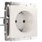 Розетка с заземлением и шторками Werkel перламутровый рифленый W1171113 4690389161032