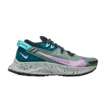 Кроссовки Nike Pegasus Trail 2 (Женская размерная сетка)