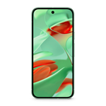 Смартфон Google Pixel 9 12/256GB, Wintergreen (Зимнезелёный) (Японская версия)